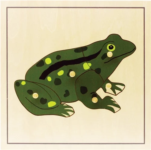 frog puzzle